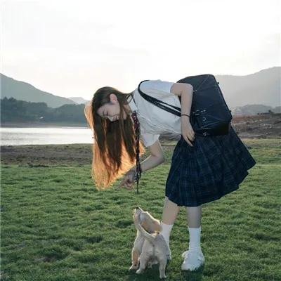 抢救基努猫