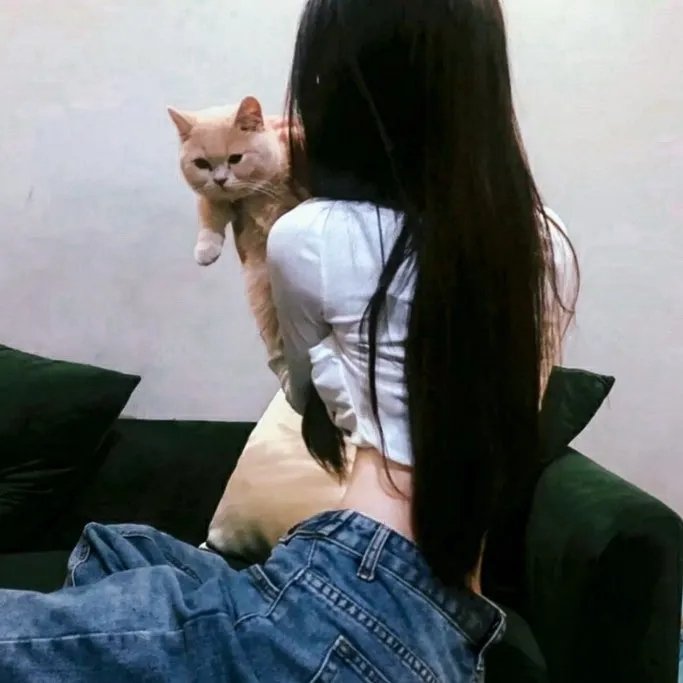 剿匪英雄